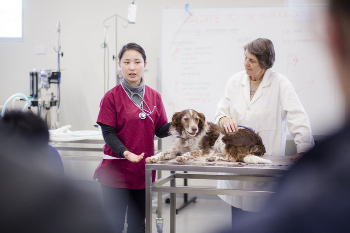 Clinical Skills image