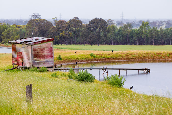 Dookie Campus Dam