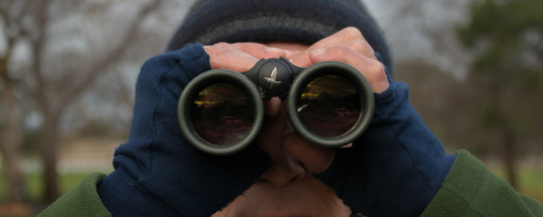 Still from A Banquet Of Consequences (2016) by Gilda Ayerst.